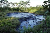 Description: http://extras.mnginteractive.com/live/media/site568/2012/1009/20121009_040219_1010ecuador2_VIEWER.jpg